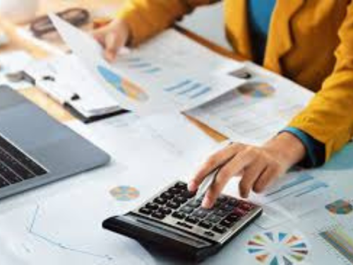 Educacao Financeira Domestica Guia Completo para Iniciantes