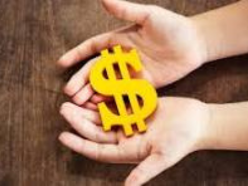 Educacao Financeira Domestica Guia Completo para Iniciantes